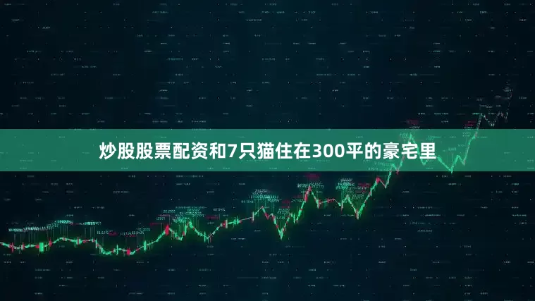 炒股股票配资和7只猫住在300平的豪宅里
