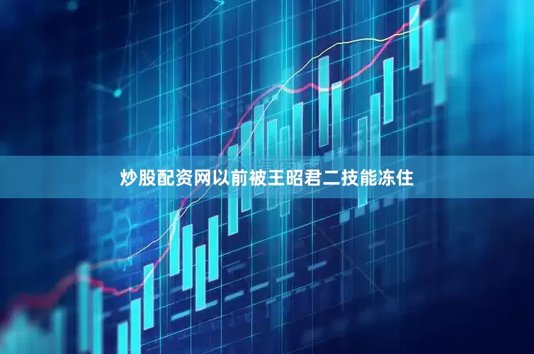 炒股配资网以前被王昭君二技能冻住
