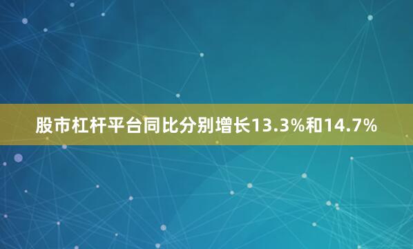 股市杠杆平台同比分别增长13.3%和14.7%